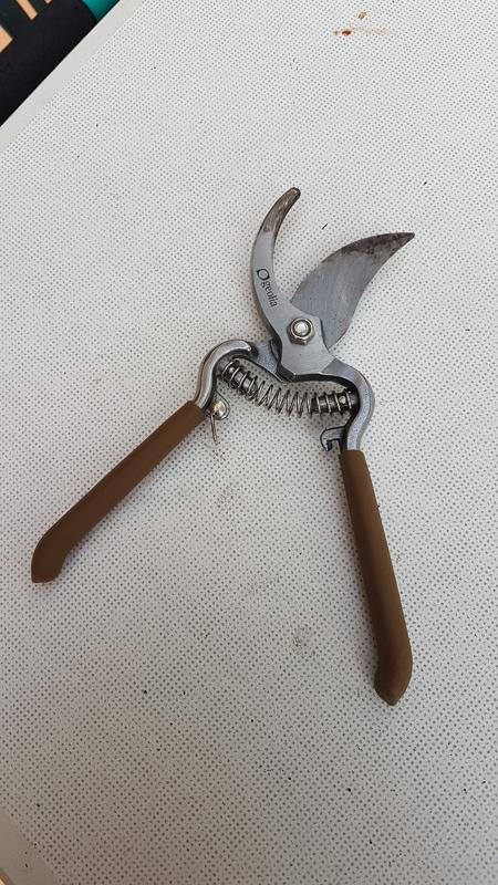 Abra o modal de avaliação 2 de 4