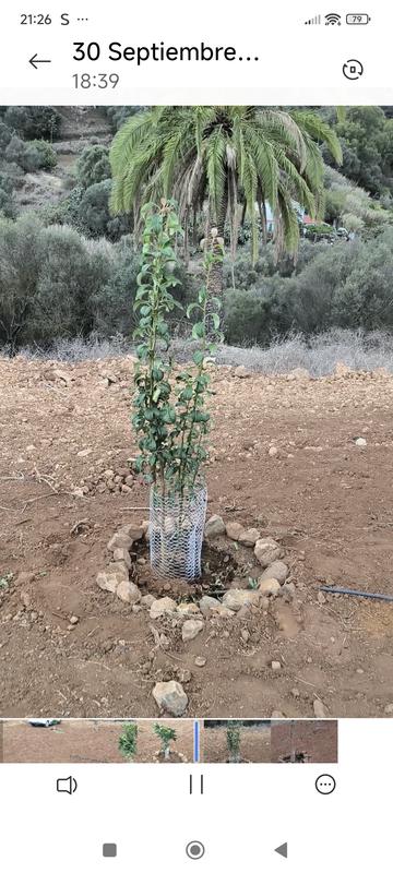 Abrir modal de revisión 3 de 3