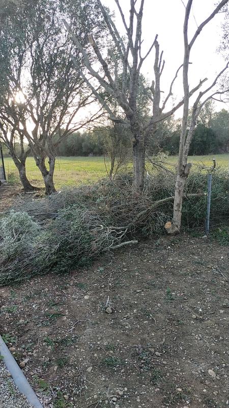 Abra o modal de avaliação 1 de 1