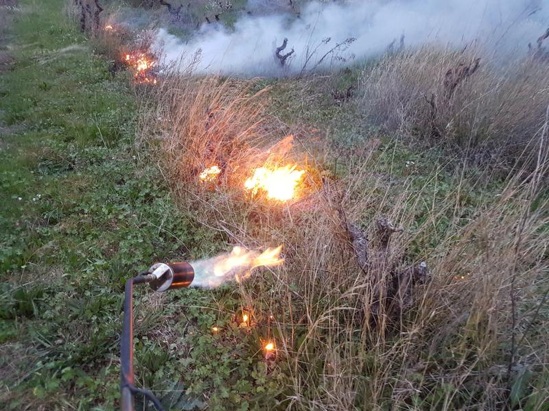 Ouvrir la fenêtre modale de l'avis 2 sur 2