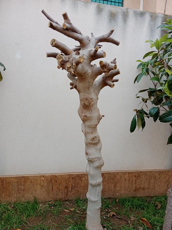 Ouvrir la fenêtre modale de l'avis 1 sur 1