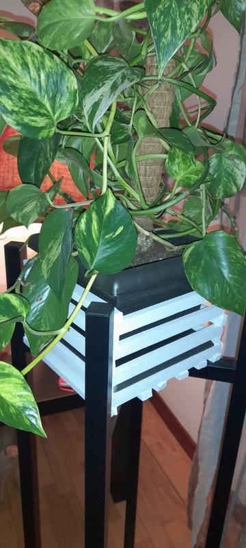 Abrir modal de revisión 1 de 1