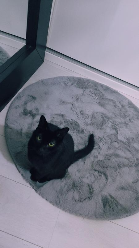 Abra o modal de avaliação 1 de 1