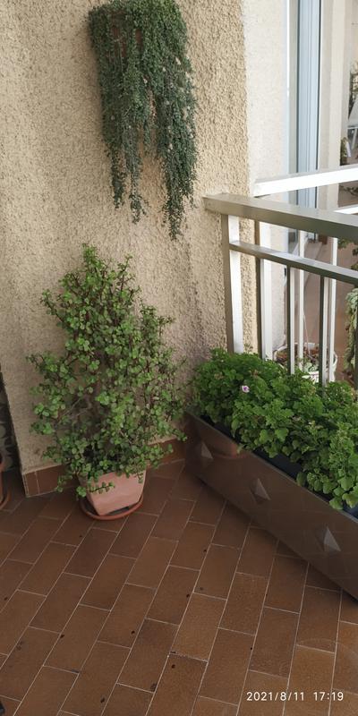 Abrir modal de revisión 2 de 4