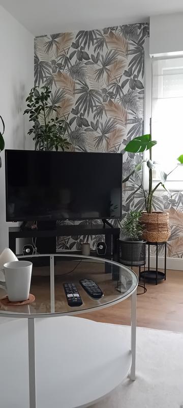 Ouvrir la fenêtre modale de l'avis 1 sur 1