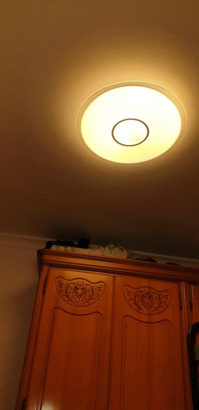 Abrir modal de revisión 1 de 1