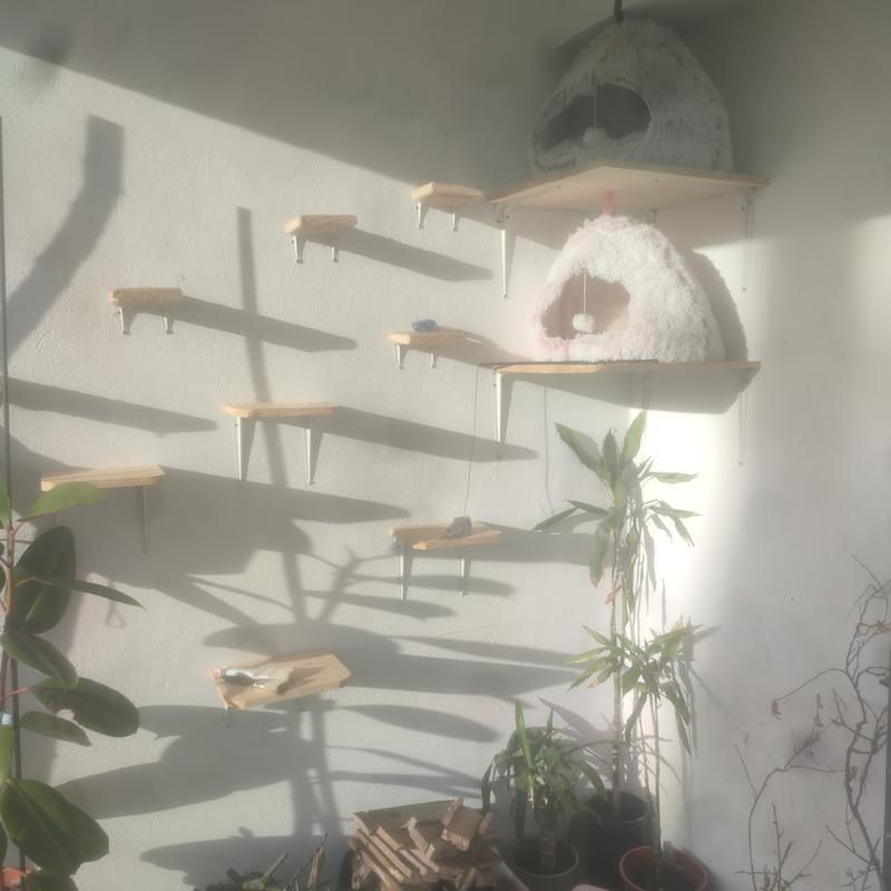 Abrir modal de revisión 1 de 1