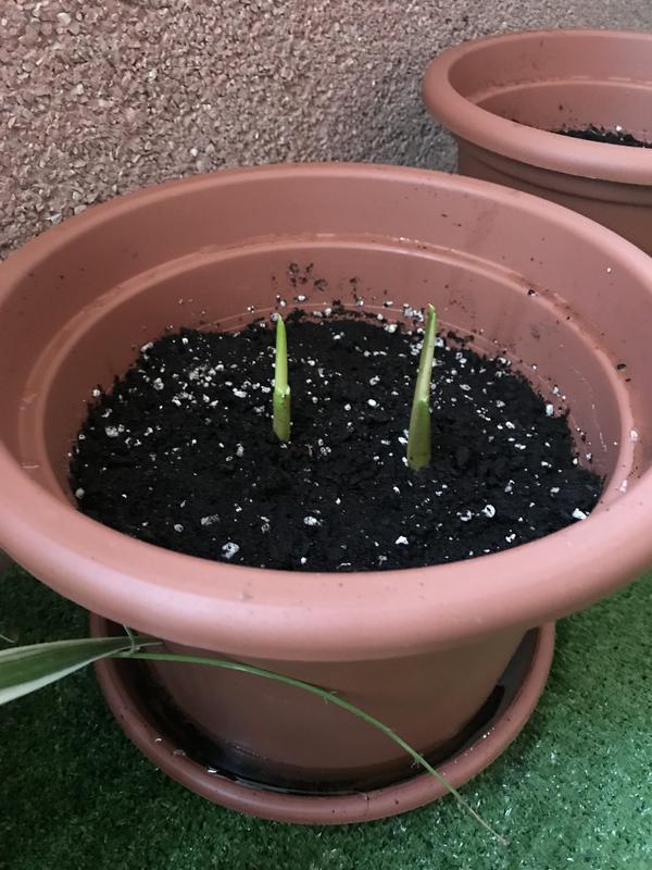 Abra o modal de avaliação 1 de 1