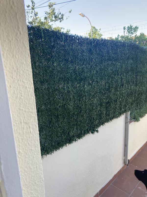 Abrir modal de revisión 1 de 1