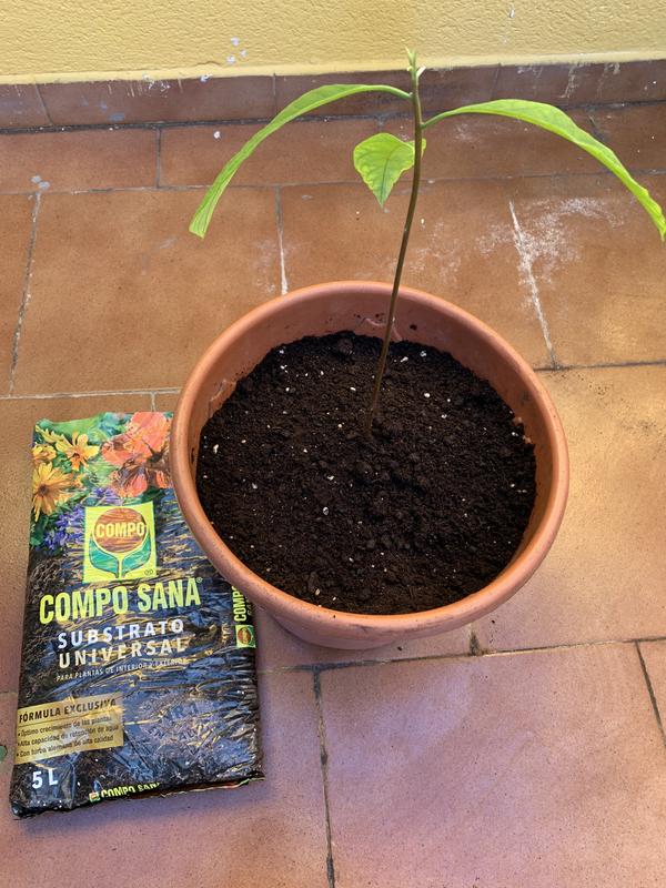 Abrir modal de revisión 2 de 2