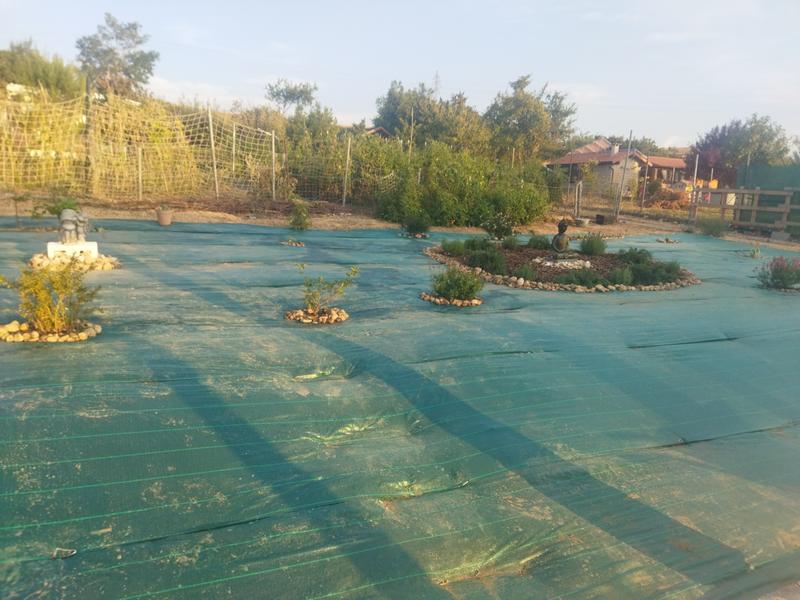 Abrir modal de revisión 1 de 1