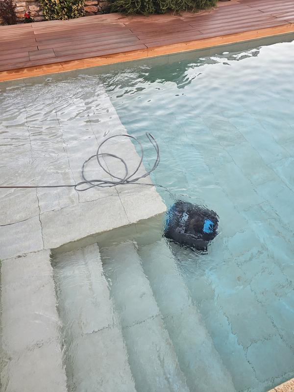 Ouvrir la fenêtre modale de l'avis 1 sur 1