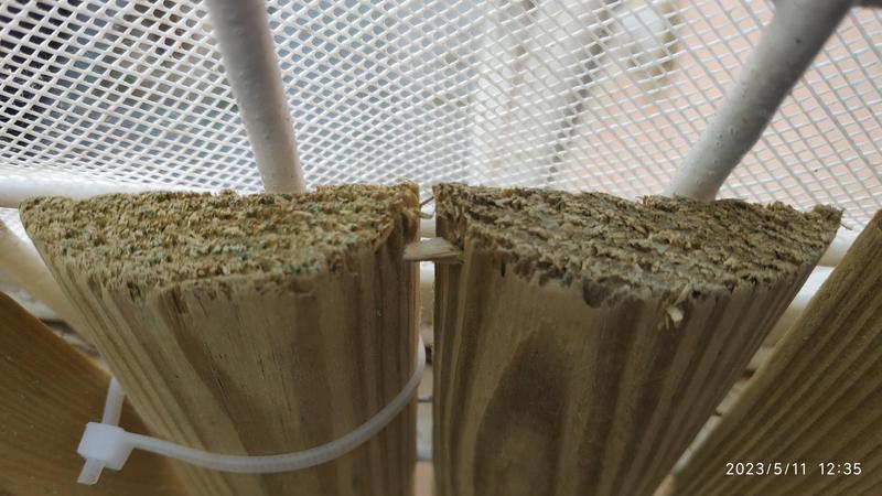 Abrir modal de revisión 2 de 3