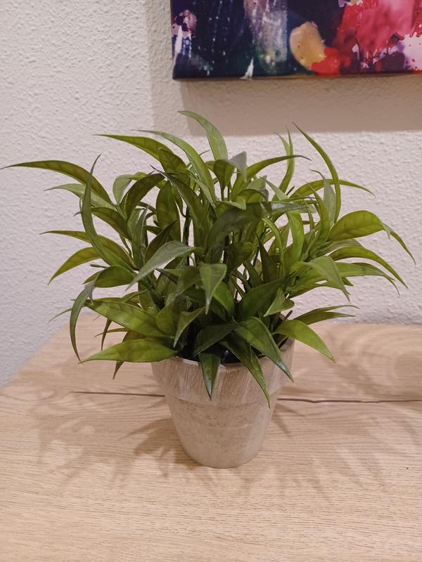 Abra o modal de avaliação 1 de 1