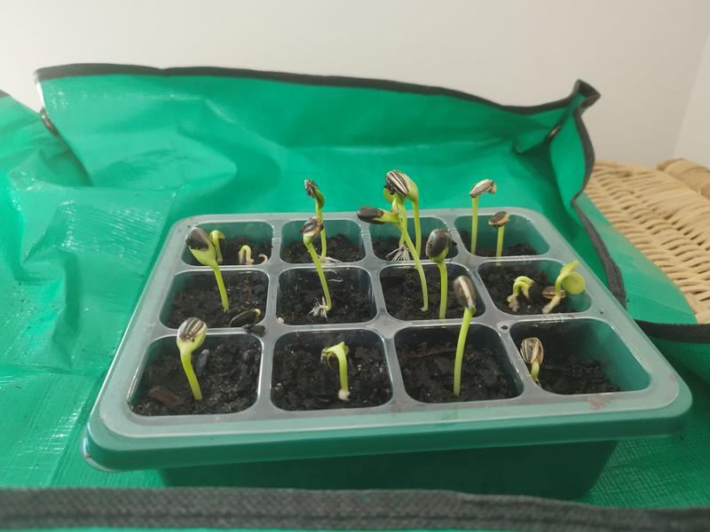 Abrir modal de revisión 1 de 1