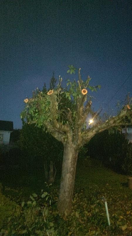 Ouvrir la fenêtre modale de l'avis 1 sur 1