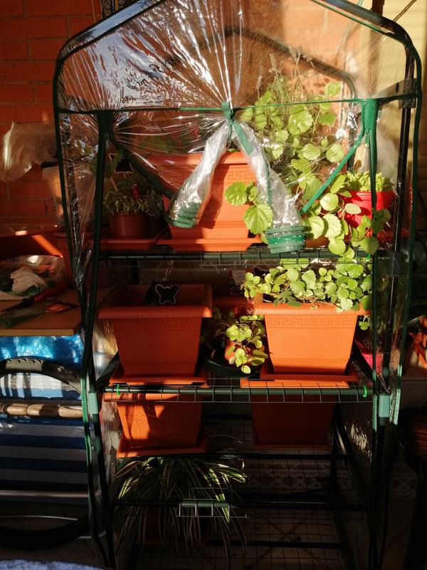 Abrir modal de revisión 1 de 1