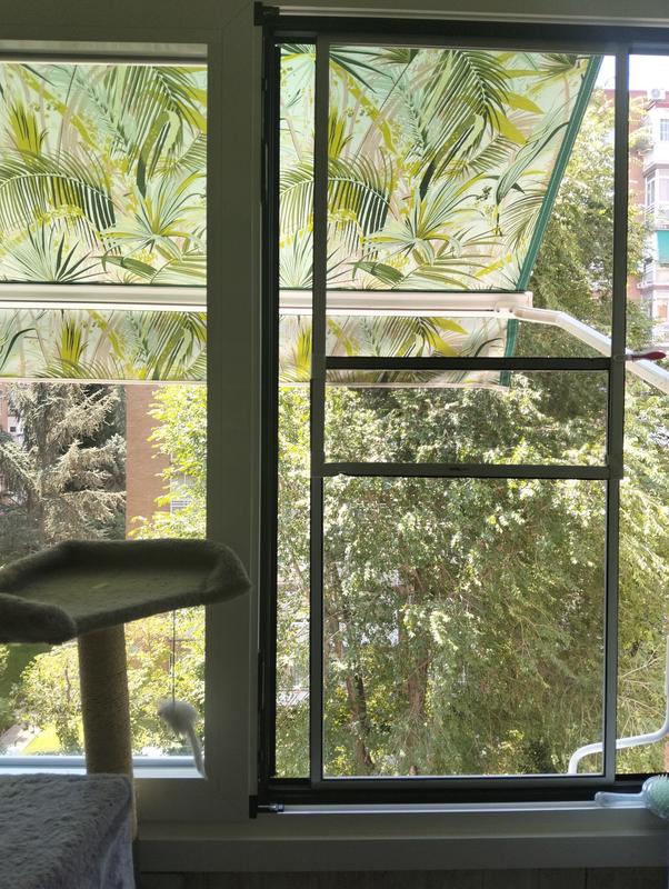 Abrir modal de revisión 1 de 1