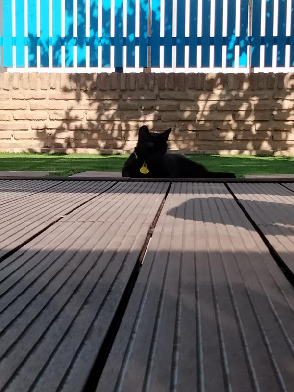 Abrir modal de revisión 2 de 3