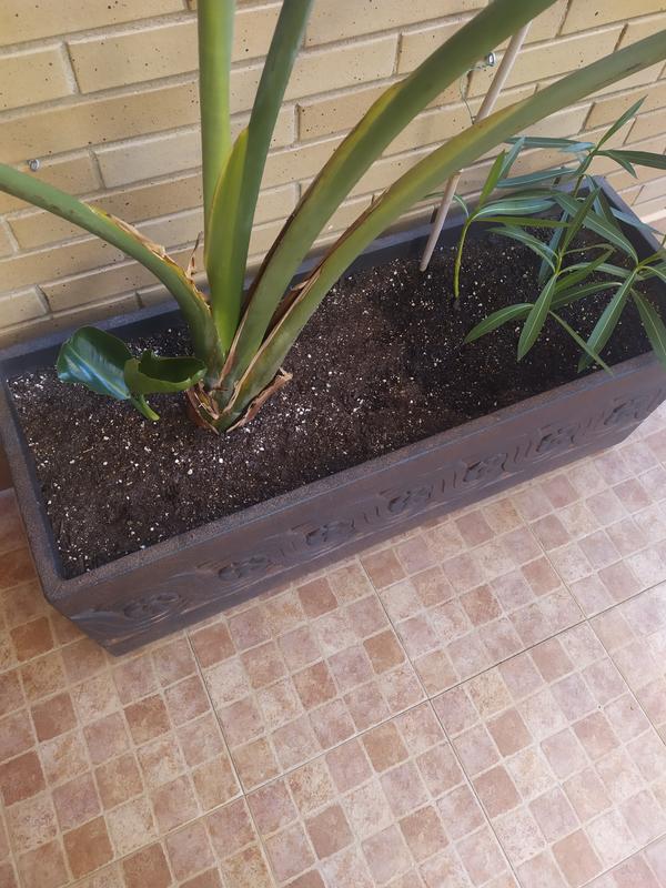 Abrir modal de revisión 2 de 3