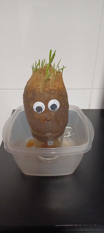 Abrir modal de revisión 1 de 1