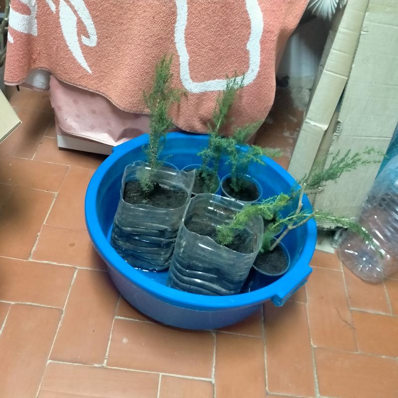 Abra o modal de avaliação 1 de 1