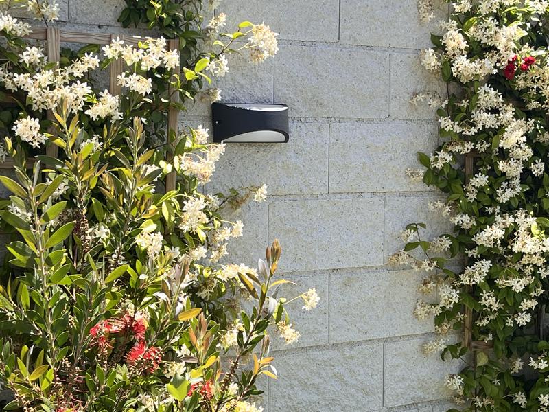 Abrir modal de revisión 1 de 2