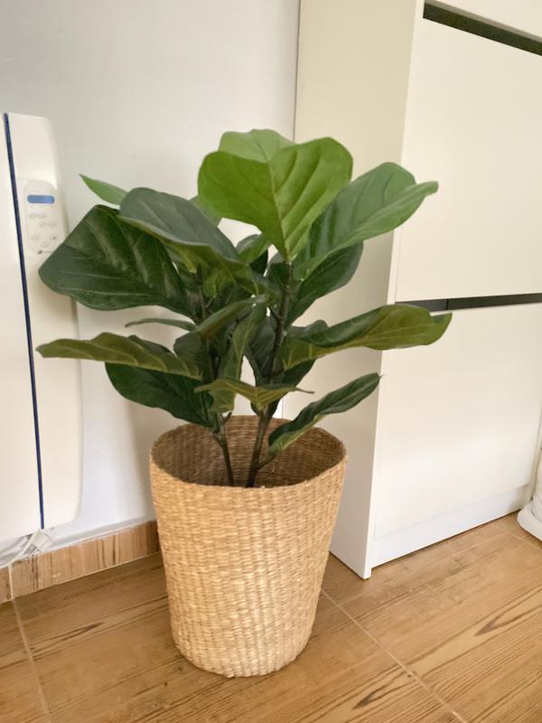 Abra o modal de avaliação 1 de 1