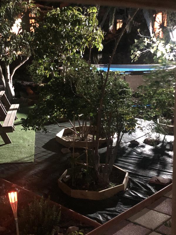 Revisione aperta modale 1 su 1