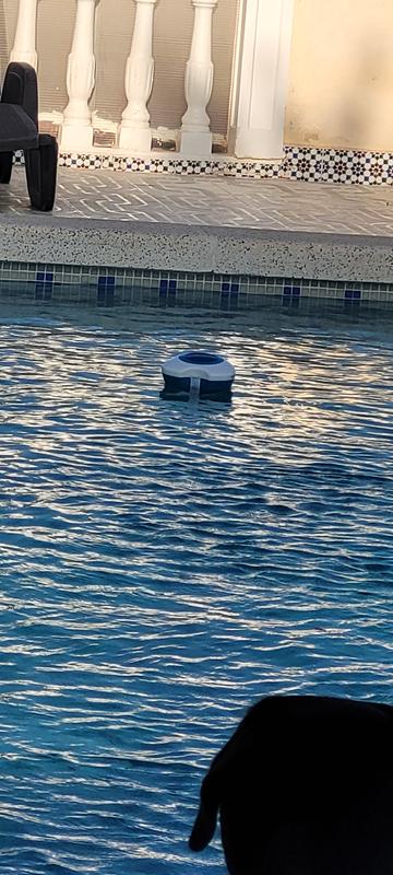 Abrir modal de revisión 1 de 1