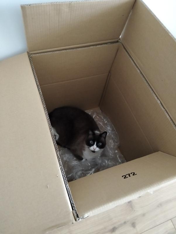 Abra o modal de avaliação 4 de 4