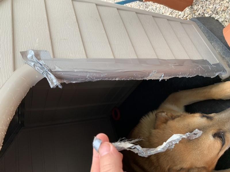 Abrir modal de revisión 1 de 3