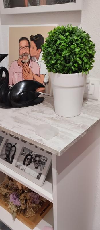 Abrir modal de revisión 1 de 1