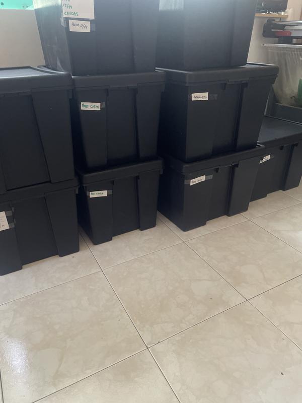 Abrir modal de revisión 1 de 1