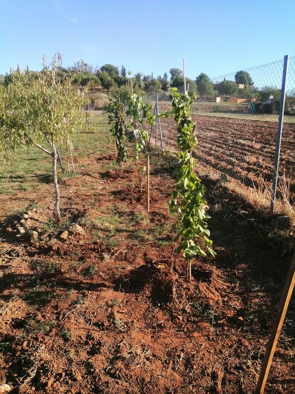 Abrir modal de revisión 1 de 1