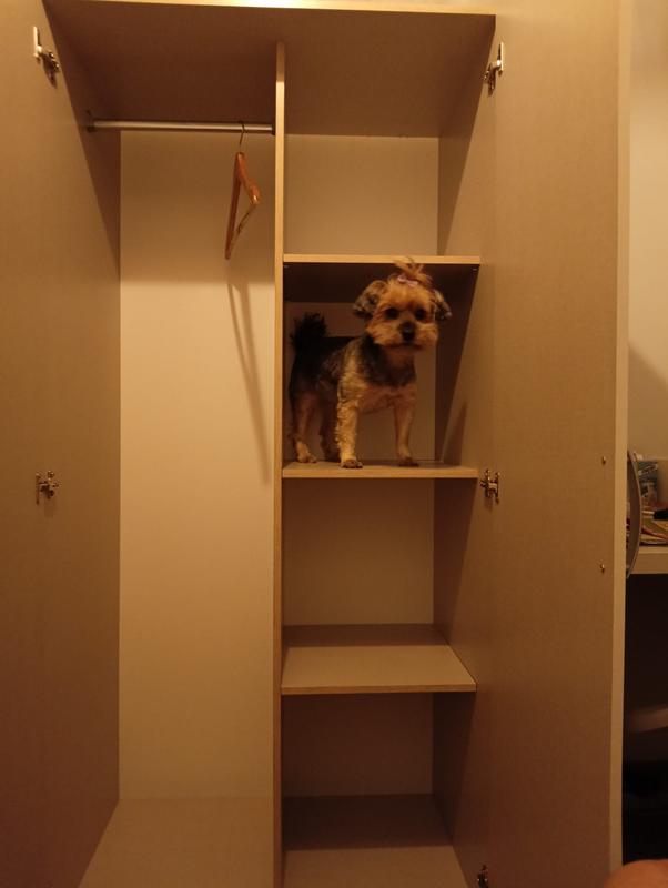 Abrir modal de revisión 1 de 1