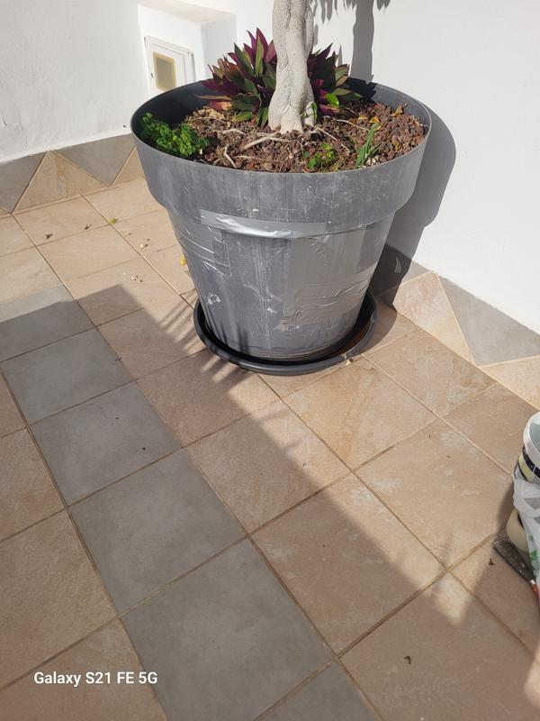 Abrir modal de revisión 1 de 1