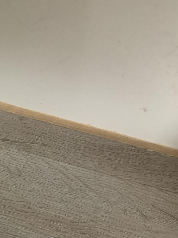 Abrir modal de revisión 1 de 1