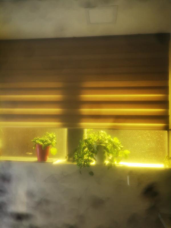 Abrir modal de revisión 1 de 1