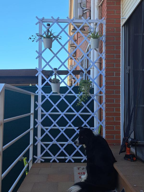 Abra o modal de avaliação 1 de 1