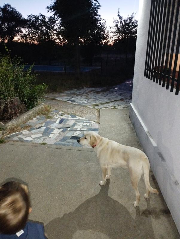 Abrir modal de revisión 1 de 1