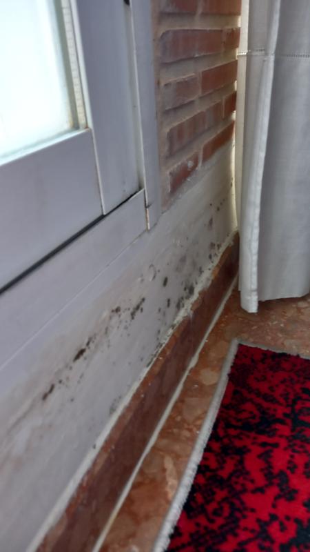 Abra o modal de avaliação 2 de 2