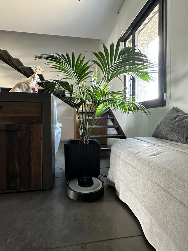 Abrir modal de revisión 1 de 1