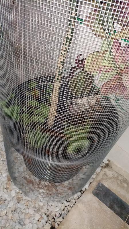 Abrir modal de revisión 2 de 3