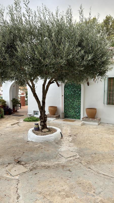 Abrir modal de revisión 1 de 1