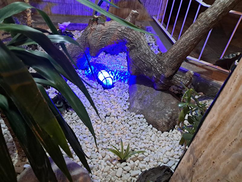 Abrir modal de revisión 1 de 1