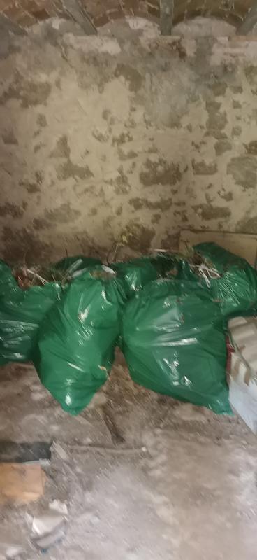 Abrir modal de revisión 1 de 1