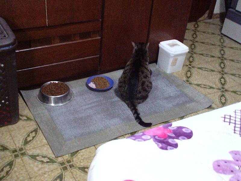 Abrir modal de revisión 3 de 3