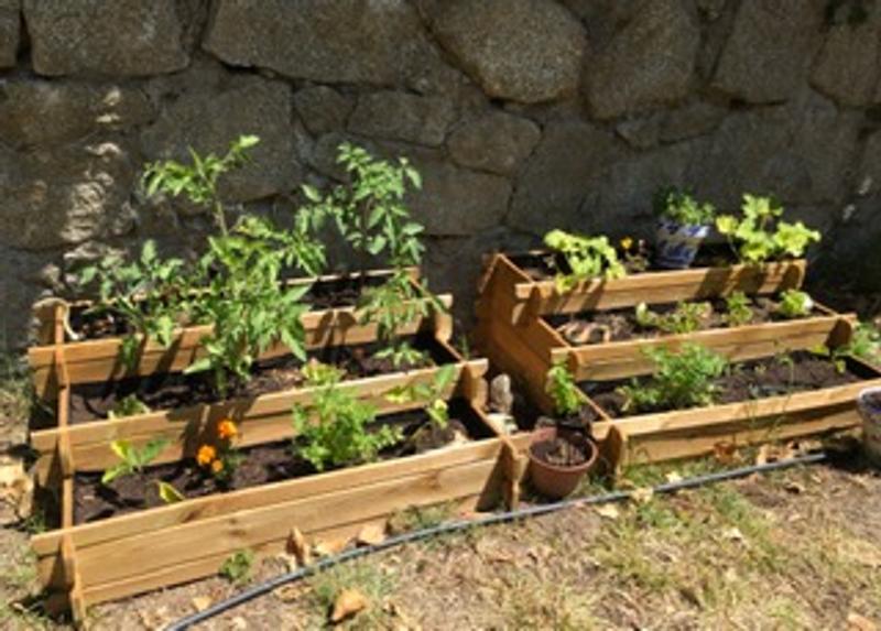 Abra o modal de avaliação 1 de 3