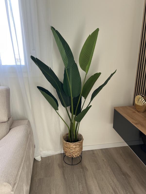 Abra o modal de avaliação 1 de 1